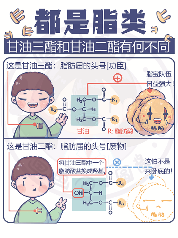 都是脂類甘油三酯和甘油二酯有何不同？